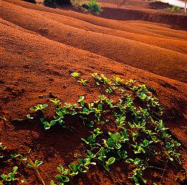 《机甲战魔：神话之裔》全新预告视频 射击武器介绍！